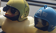 Wear a Helmet