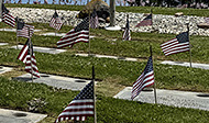 Memorial Day